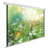 Экран Cactus 200x200см WallExpert CS-PSWE-200x200-WT 1:1 настенно-потолочный рулонный