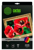 Холст Cactus CS-CA426010 A4/260г/м2/10л. для струйной печати