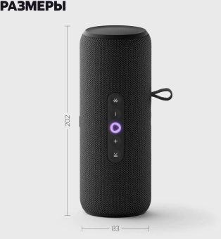 Умная колонка Yandex Станция Стрит Алиса черный 30W 2.0 BT/Wi-Fi 10м 3300mAh (YNDX-00030BLK)