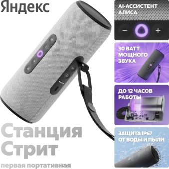 Умная колонка Yandex Станция Стрит Алиса серый 30W 2.0 BT/Wi-Fi 10м 3300mAh (YNDX-00030GRY)