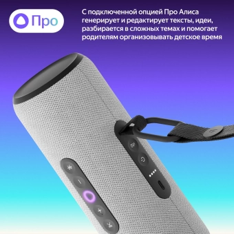 Умная колонка Yandex Станция Стрит Алиса серый 30W 2.0 BT/Wi-Fi 10м 3300mAh (YNDX-00030GRY)