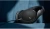 Наушники накладные Sennheiser HD 550 1.8м черный проводные оголовье (700455) Наушники накладные Sennheiser HD 550 1.8м черный проводные оголовье (700455)