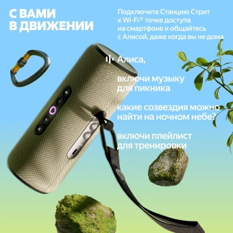 Умная колонка Yandex Станция Стрит Алиса оранжевый 30W 2.0 BT/Wi-Fi 10м 3300mAh (YNDX-00030ORG)