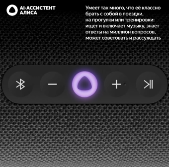 Умная колонка Yandex Станция Стрит Алиса черный 30W 2.0 BT/Wi-Fi 10м 3300mAh (YNDX-00030BLK)