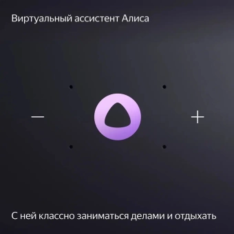 Умная колонка Yandex Станция Миди Алиса серый 24W 1.0 BT/Wi-Fi 10м (YNDX-00054GRY)