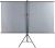 Экран Lumien 84" 110x190см Sky Cinema LSС-100101 16:9 напольный натяжной белый