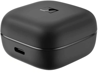 Гарнитура внутриканальные Sennheiser Accentum True Wireless черный беспроводные bluetooth в ушной раковине (ACCENTUM TRUE WIRELESS BL)