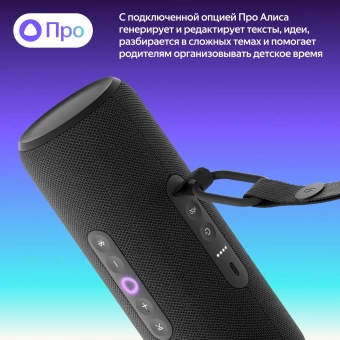 Умная колонка Yandex Станция Стрит Алиса черный 30W 2.0 BT/Wi-Fi 10м 3300mAh (YNDX-00030BLK)