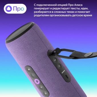 Умная колонка Yandex Станция Стрит Алиса фиолетовый 30W 2.0 BT/Wi-Fi 10м 3300mAh (YNDX-00030VIO)