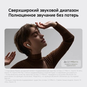 Гарнитура внутриканальные Xiaomi Buds 5 Pro BT титан беспроводные bluetooth в ушной раковине (BHR9640GL)
