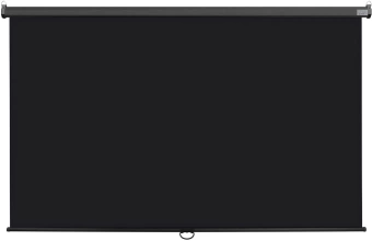 Экран Lumien 100" 157x227см Eco Picture LEP-100130 16:9 настенно-потолочный рулонный черный