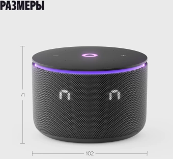 Умная колонка Yandex Станция Мини 3 Про Алиса черный 18W 1.0 BT/Wi-Fi (YNDX-00059BLK)