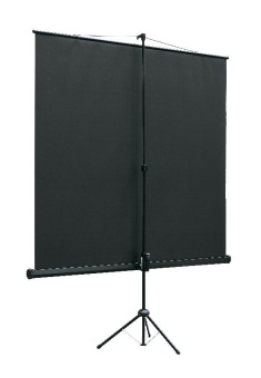 Экран на треноге Lumien 111" 200x200см Eco View LEV-100103 1:1 напольный рулонный