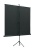 Экран на треноге Lumien 111" 200x200см Eco View LEV-100103 1:1 напольный рулонный