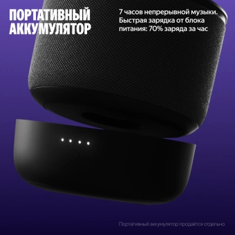 Умная колонка Yandex Станция Мини 3 Про Алиса черный 18W 1.0 BT/Wi-Fi (YNDX-00059BLK)