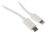 Автомобильное зар./устр. Hama H-183317 30W 3A (PD) USB Type-C для Apple белый (00183317) Автомобильное зар./устр. Hama H-183317 30W 3A (PD) USB Type-C для Apple белый (00183317)