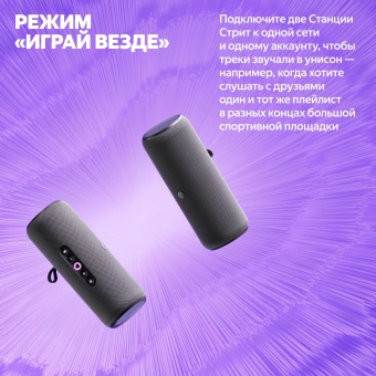 Умная колонка Yandex Станция Стрит Алиса черный 30W 2.0 BT/Wi-Fi 10м 3300mAh (YNDX-00030BLK)