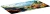 Коврик для мыши Cactus Desert landscape 900x400x3мм (CS-MP-PRO15XXL)