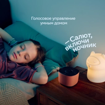 Умная колонка Sber Boom Home SBDV-00171G Салют серый 8W Mono BT/Wi-Fi (без.бат)