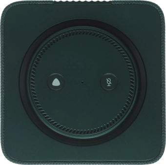 Умная колонка Yandex Станция Макс Zigbee Алиса зеленый 65W 1.0 BT/Wi-Fi 10м (YNDX-00053Z)