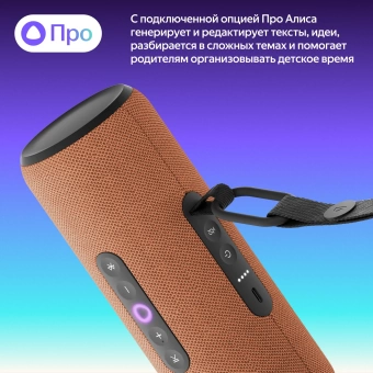 Умная колонка Yandex Станция Стрит Алиса оранжевый 30W 2.0 BT/Wi-Fi 10м 3300mAh (YNDX-00030ORG)